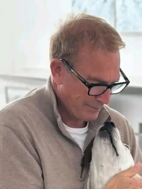 American men looking for love