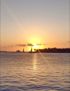 American men looking for love